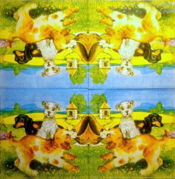 069 Hunde - 3-lagig